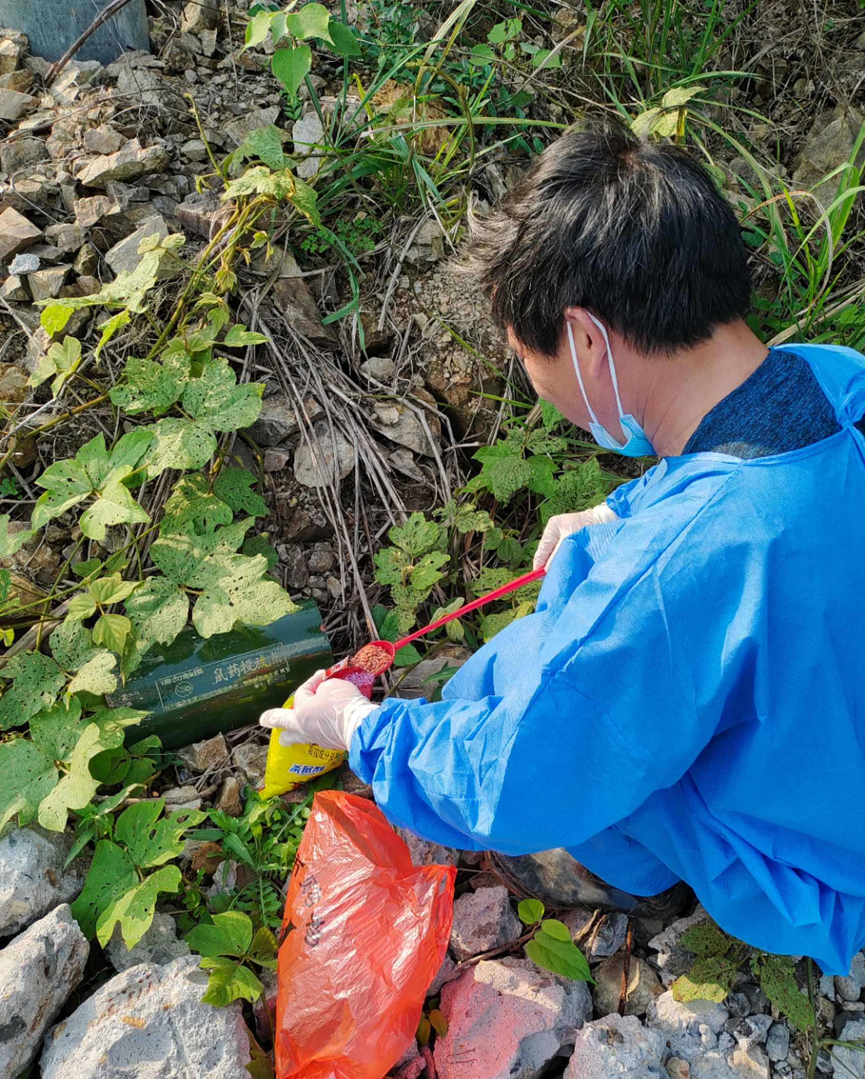 横江镇七机排水库库底灭鼠消毒服务